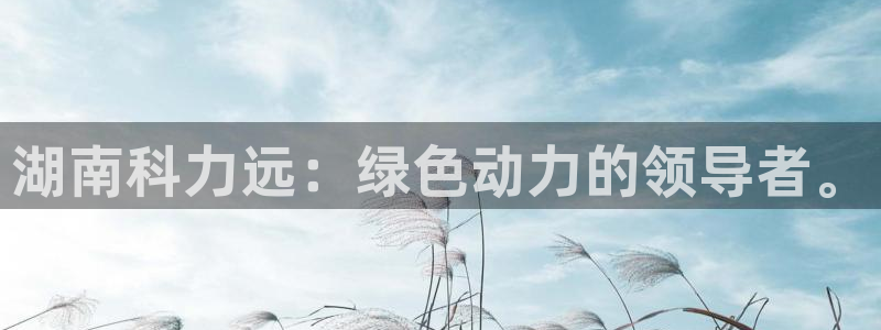 新宝gg龙虎