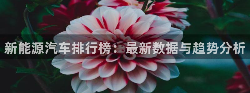 新宝gg__