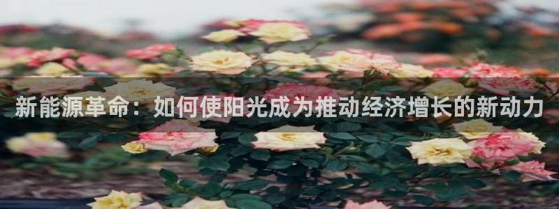 66新宝gg