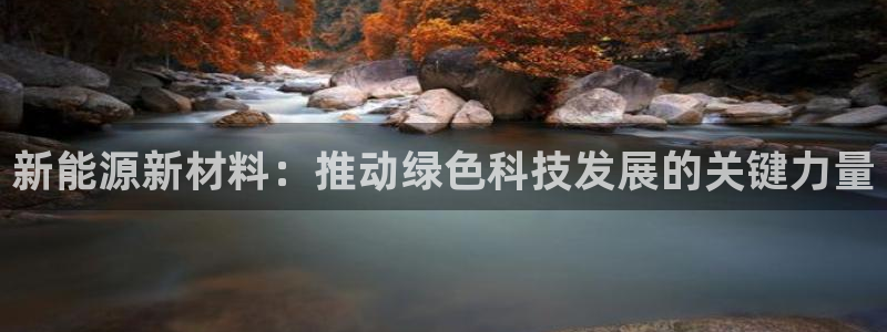 新宝GG股东