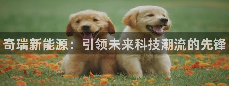 新宝gg直属