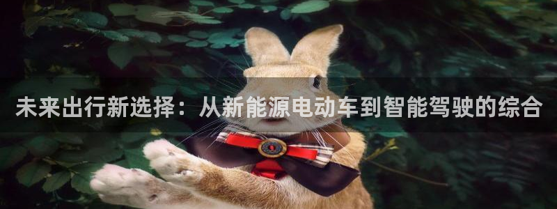 新宝gg主页