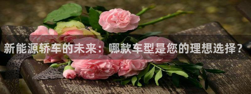 新宝gg推荐