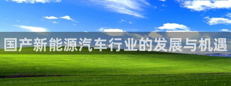 新宝gg重：国产新能源汽车行业的发展与机