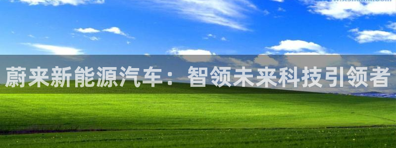 新宝gg开户流程：蔚来新能源汽车：智领未
