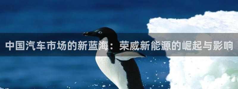 新宝gg是什么