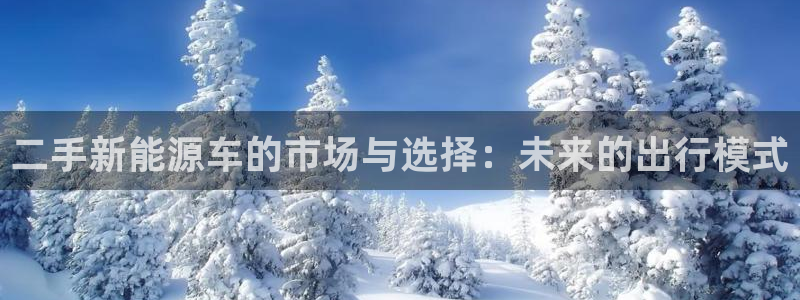 新宝gg在哪开户
