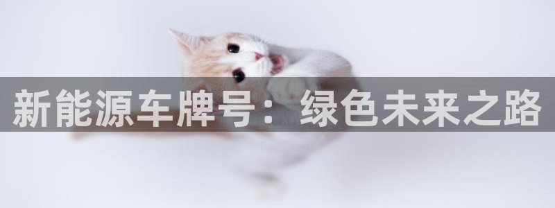 新宝gg创建奇迹