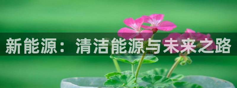 新宝集团gg