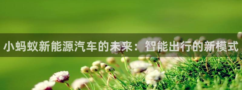 新宝 gg .com