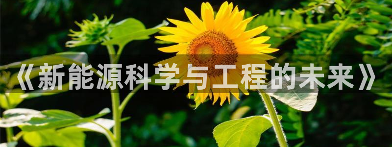 新宝gg登录页面：《新能源科学与工程的未