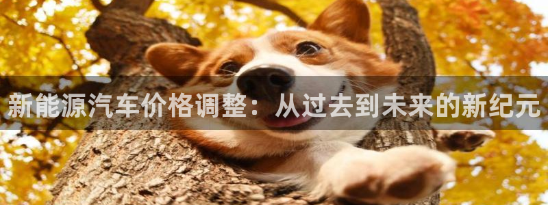 新宝gg软件下载