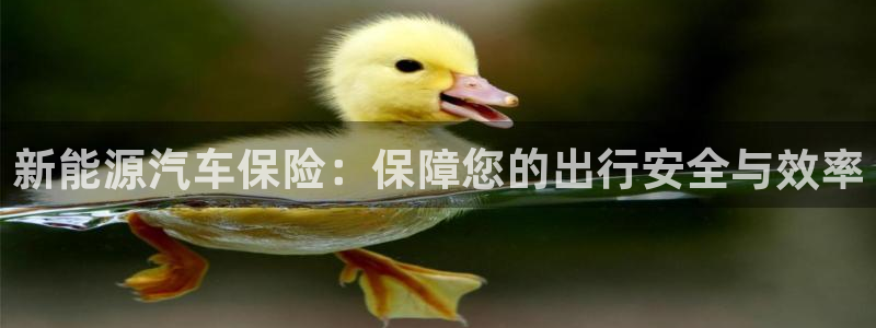 百度新宝gg：新能源汽车保险：保障您的出