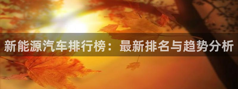 新宝gg 黑：新能源汽车排行榜：最新排名