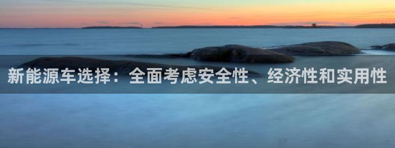 新宝gg6娱乐注册网址：新能源车选择：全