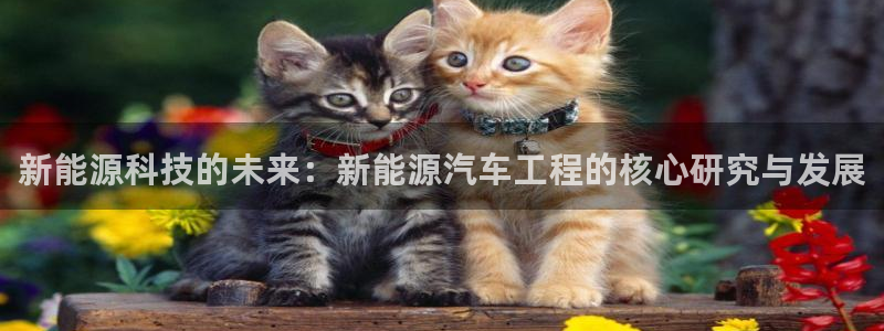 收新宝gg：新能源科技的未来：新能源汽车