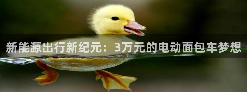 新宝gg 奇迹