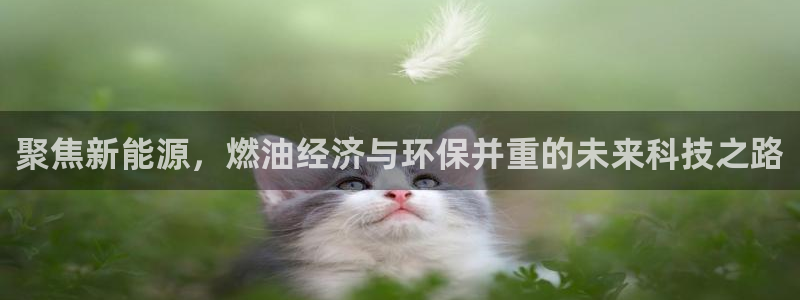 新宝gg代理条件：聚焦新能源，燃油经济与