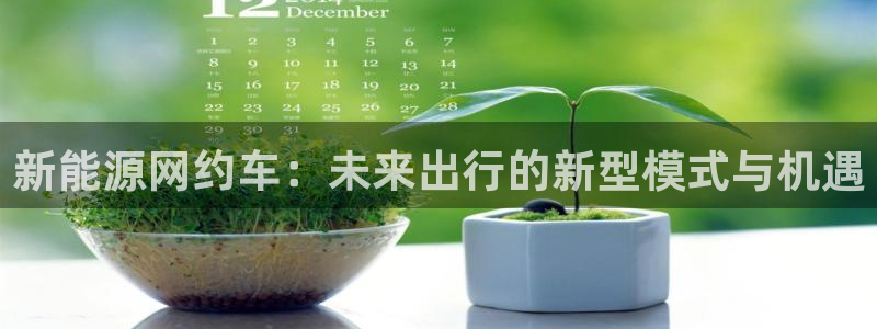 新宝gg__：新能源网约车：未来出行的新