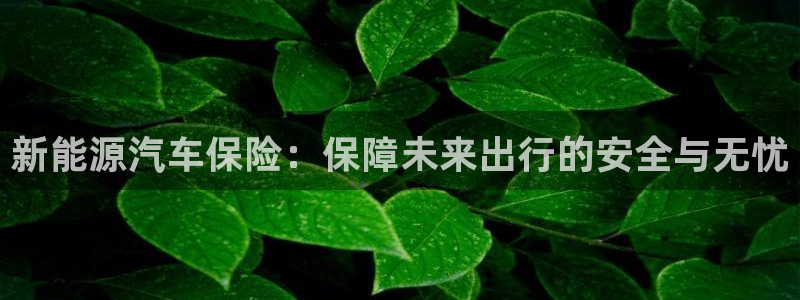 新宝gg主管48527：新能源汽车保险：