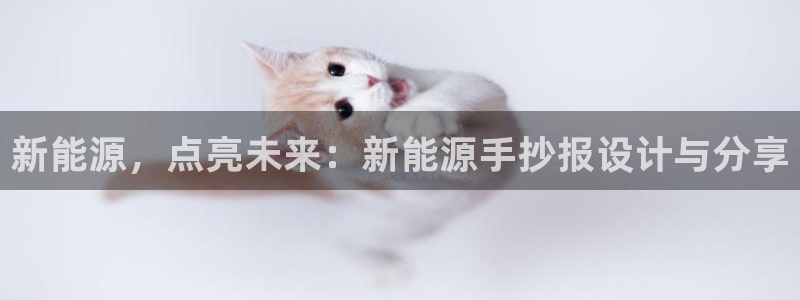新宝gg代