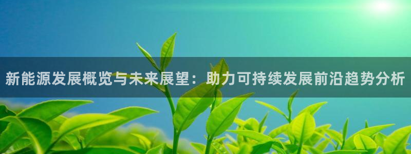 新宝gg开户