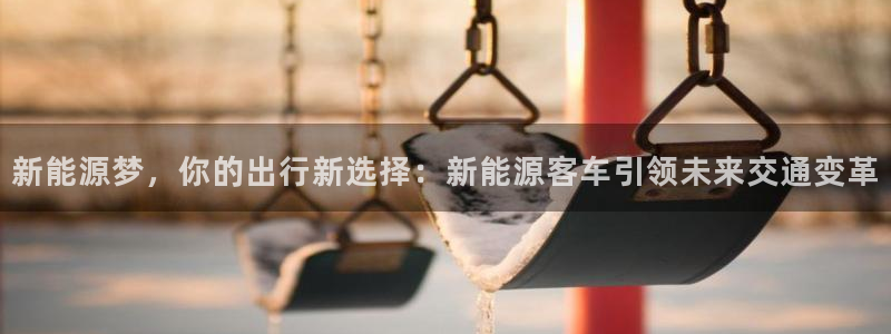 新宝gg登录线路测试：新能源梦，你的出行