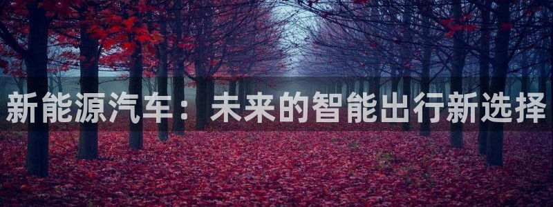新宝gg注册平台：新能源汽车：未来的智能