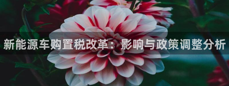 新宝gg怎么做代理：新能源车购置税改革：