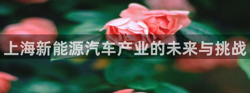 新宝gg公司