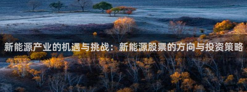 新宝娱乐gg：新能源产业的机遇与挑战：新