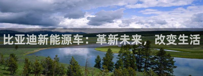 新宝gg如何赚钱:比亚迪新能源车:革新未来,改变生活