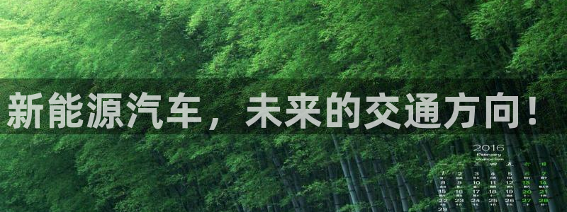 新宝GG槐78778:新能源汽车,未来的交通方向!