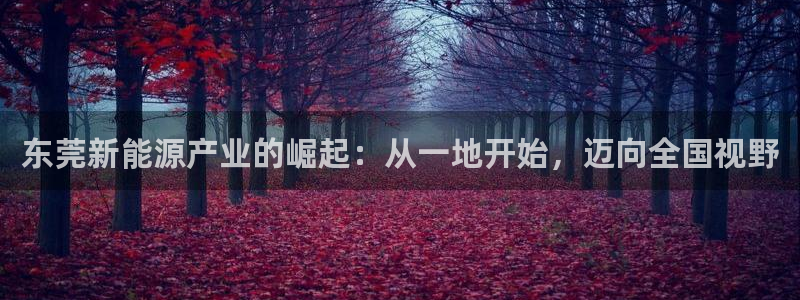 新宝gg开号