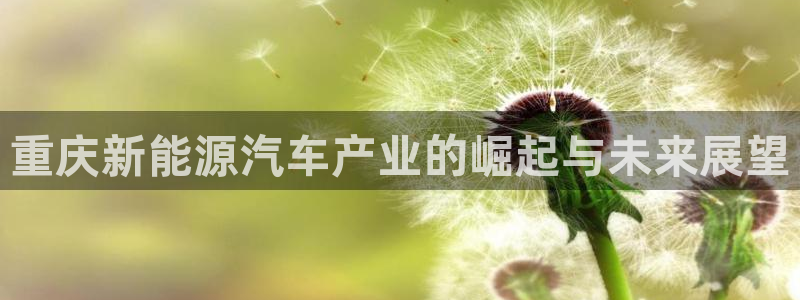 新宝gg辅助