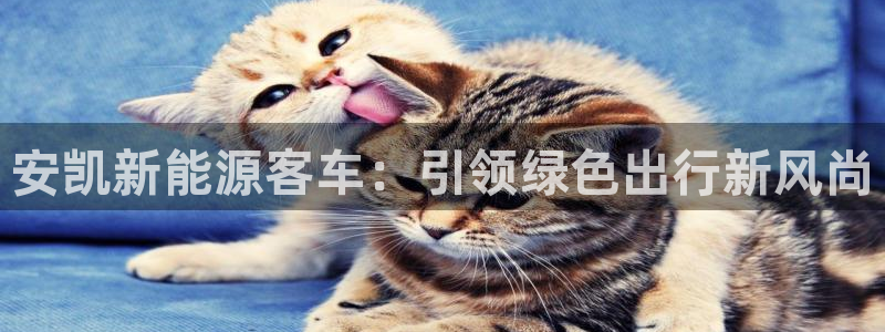 新宝gg联系