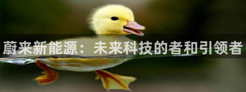 新宝gg主管、