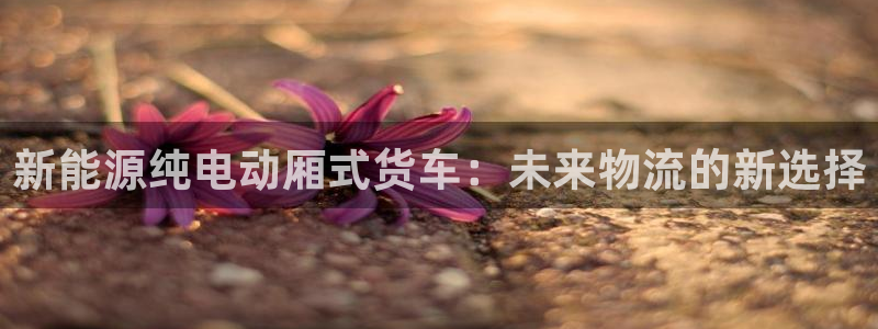 新宝gg — 创造!：新能源纯电动厢式货