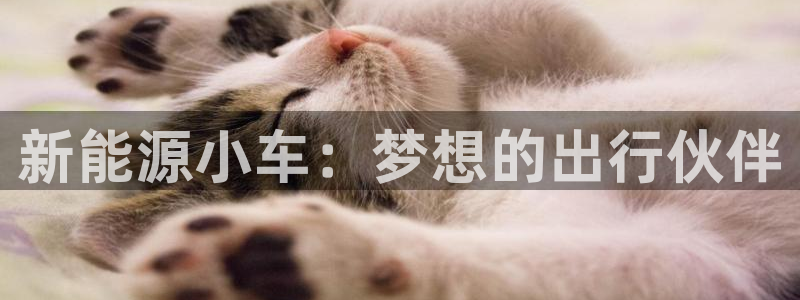 新宝gg建立团队：新能源小车：梦想的出行