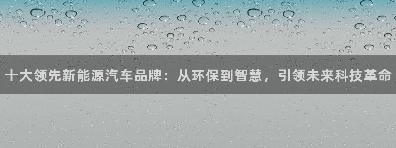 新宝gg成立：十大领先新能源汽车品牌：从