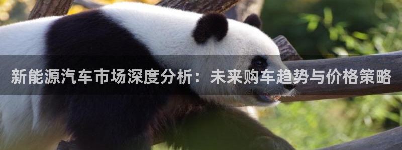 新宝gg开奖:新能源汽车市场深度分析:未来购车趋势与价格策略