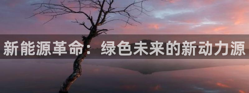 新宝gg新宝5:新能源革命:绿色未来的新动力源