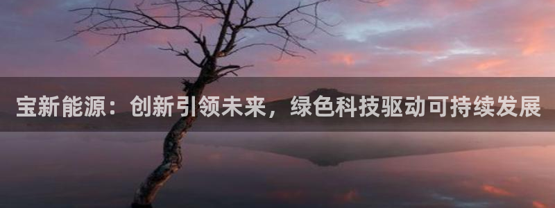 新宝gg注:宝新能源:创新引领未来,绿色科技驱动可持续发展