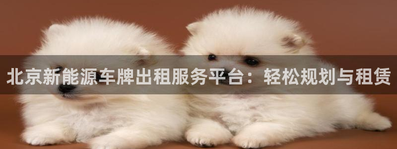 新宝gg客服:北京新能源车牌出租服务平台:轻松规划与租赁