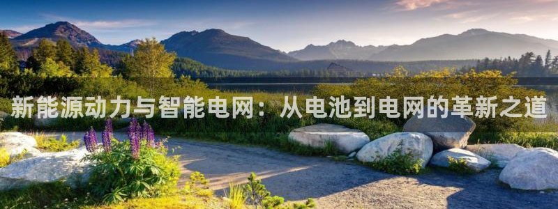 新宝5和新宝gg:新能源动力与智能电网:从电池到电网的革新之