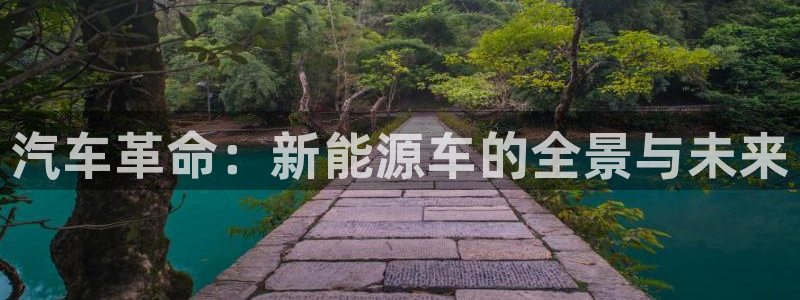 新宝gg挚243553:汽车革命:新能源车的全景与未来