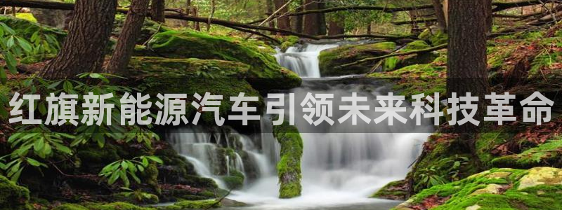 新宝GG53339咨询新宝GG:红旗新能源汽车引领未来科技革