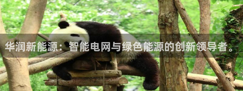 新宝gg如何做到总代理:华润新能源:智能电网与绿色能源的创新