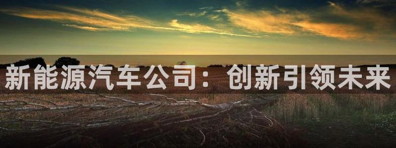 新宝gg怎么开户