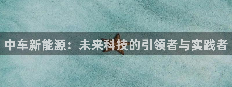 新宝 5 gg：中车新能源：未来科技的引